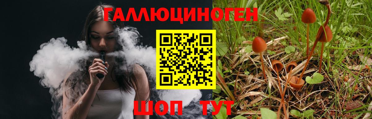 Псилоцибиновые грибы мицелий  Вход с VPN  Губаха 